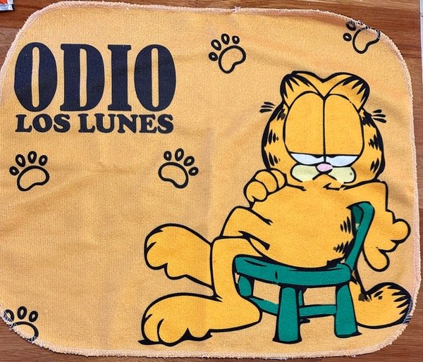 Producto - Garfield RC