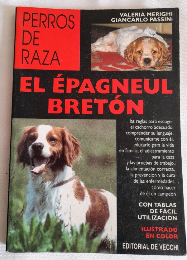 Producto - Perros De Raza - El Epagneul Breton - Merighi - De Vecchi