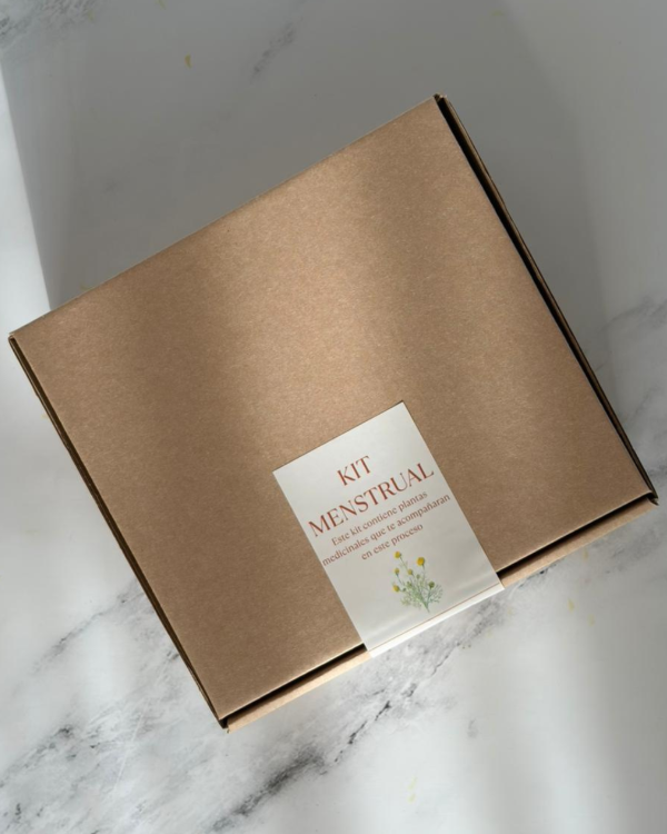 Producto - Kit menstrual
