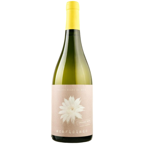 Producto - Malbecino Acariciado (Malbec Blanc) [Familia Salas]