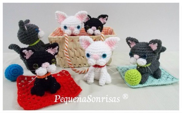 Producto - Gatos - 0