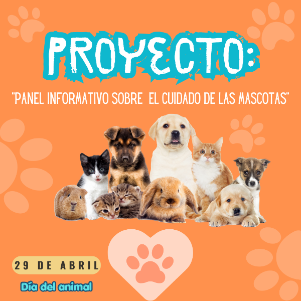 Producto - "Panel informativo sobre el cuidado de las Mascotas" - DC 2023