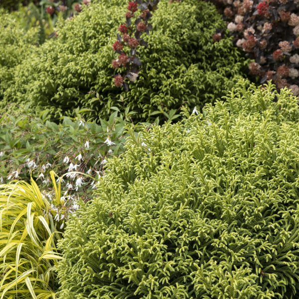 Miniatura de producto - 6