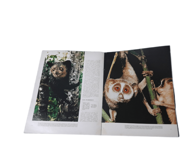 Miniatura de producto - 5