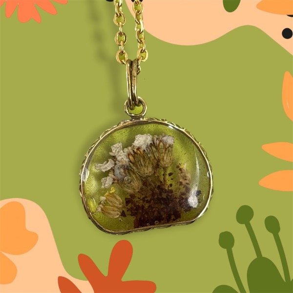 Producto - Milenrama - Bronce - 0