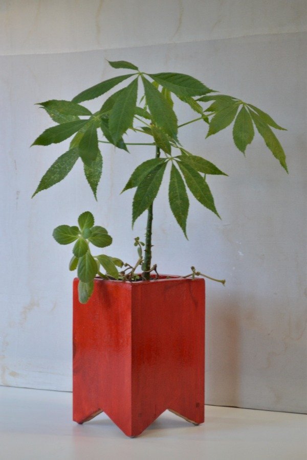 Producto - Porta Maceta. Barnizada, Con Drenaje (x3)