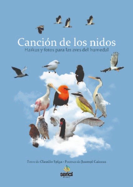 Producto - Canción de los nidos - Claudio Spiga y Juampi Caiazza