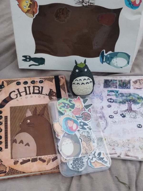 Producto - Box Totoro - 4