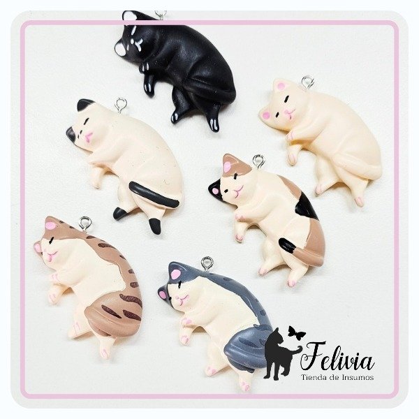 Producto - Gatitos acostados