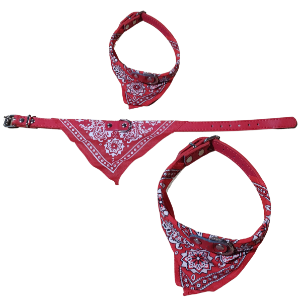 Producto - Collar Para Perros chicos Con Pañuelo Varios Colores 38 Cm - 1