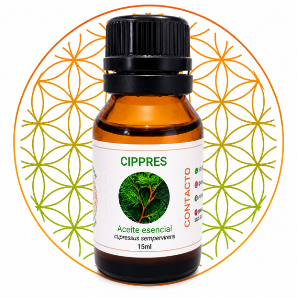 Producto - CIPRES AC. ES. (cupressus sempervirens)