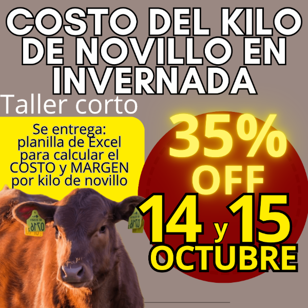 Producto - Taller corto: cálculo del costo del kilo de novillo - 0
