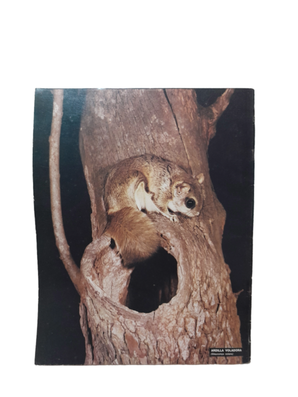 Miniatura de producto - 7