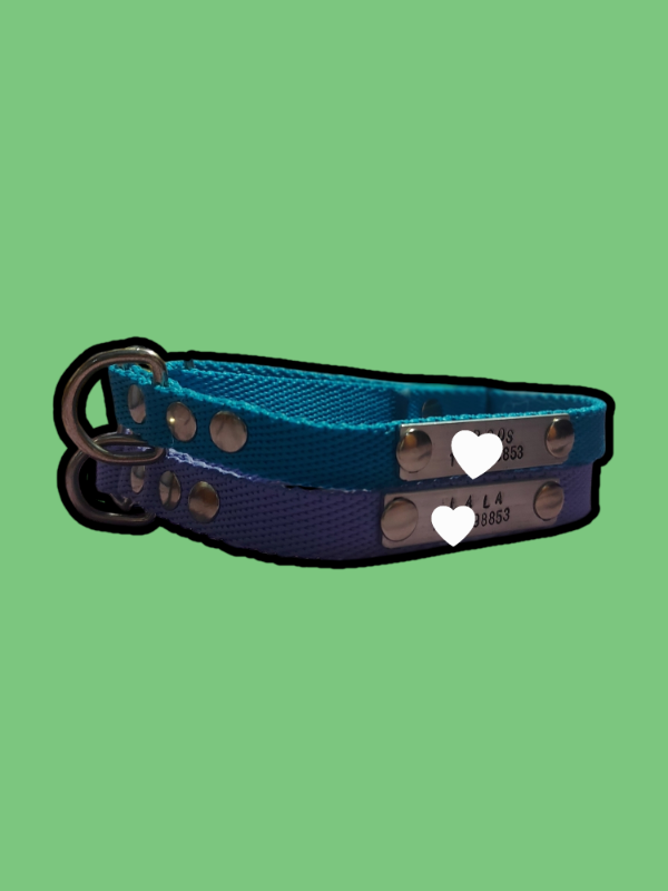 Producto - Conjuntos Id. Personalizados Chapita Clásica y a Color -C/Gancho- Ch
