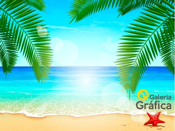 Producto - Mar Playa FS 16