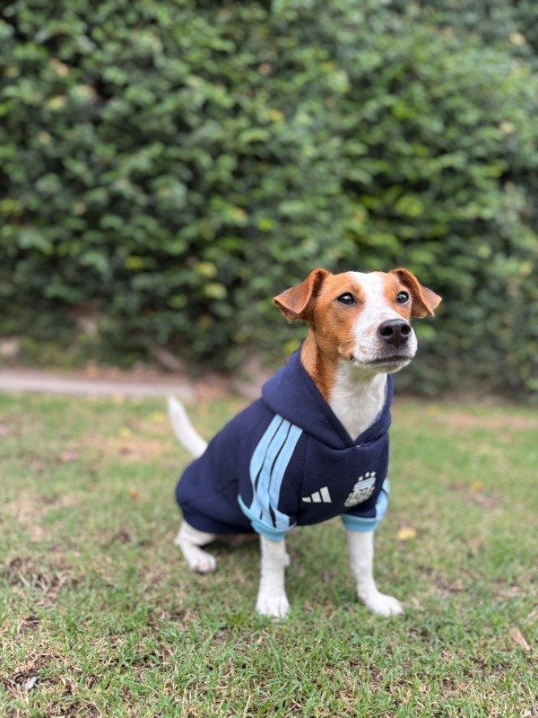 Producto - Buzo Argentina