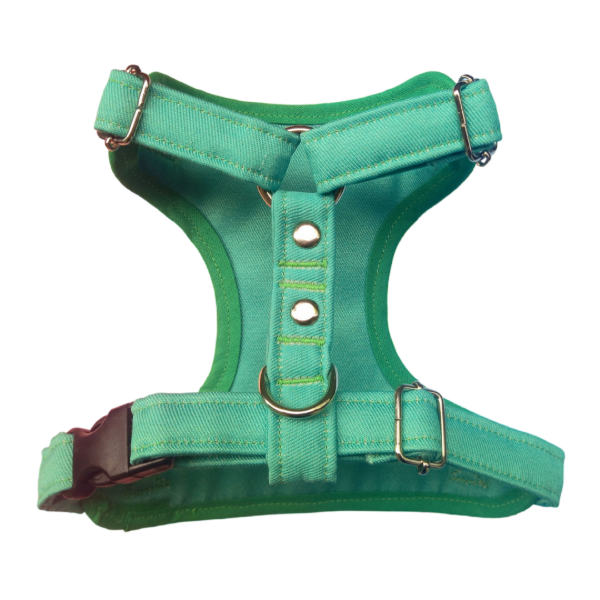 Producto - Pechera VERDE - 2