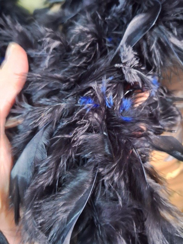 Producto - Boa de plumas negras y azul 1.80mts - 3