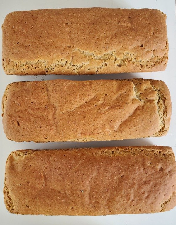 Producto - PROMO X 3 PAN DE MOLDE SIN SEMILLAS