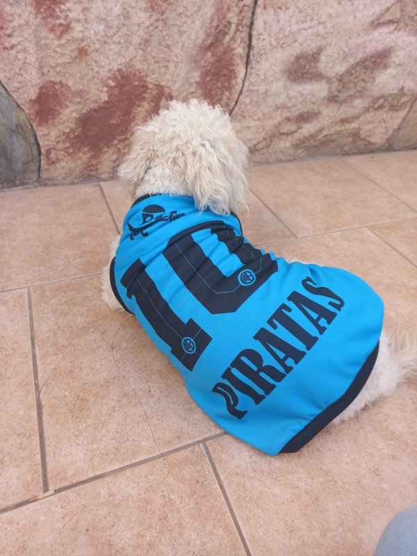 Producto - Camiseta de Belgrano - 3