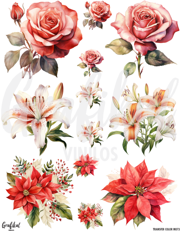 Producto - TransferColor 20x25 073