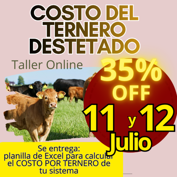 Producto - Taller Online: Costo del Ternero