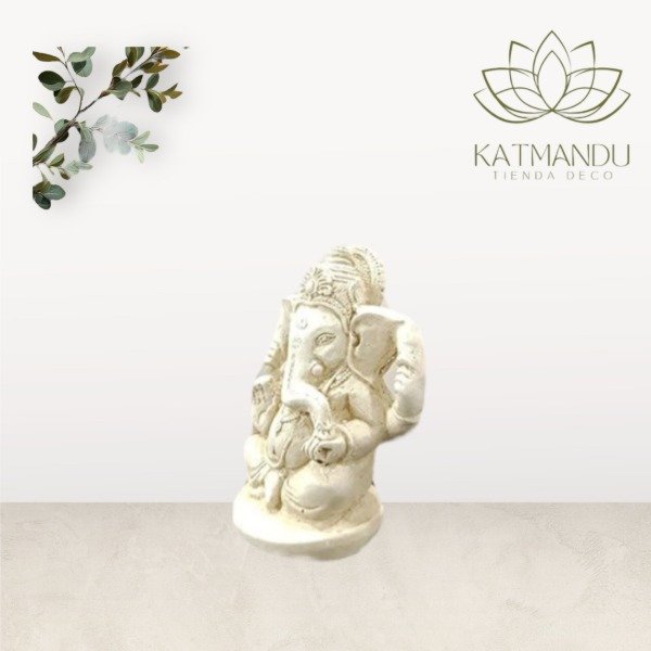 Producto - Ganeshita - 1