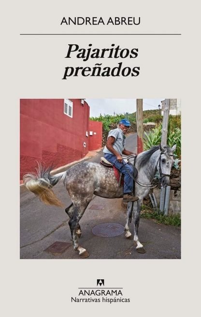 Producto - Pajaritos preñados - Andrea Abreu