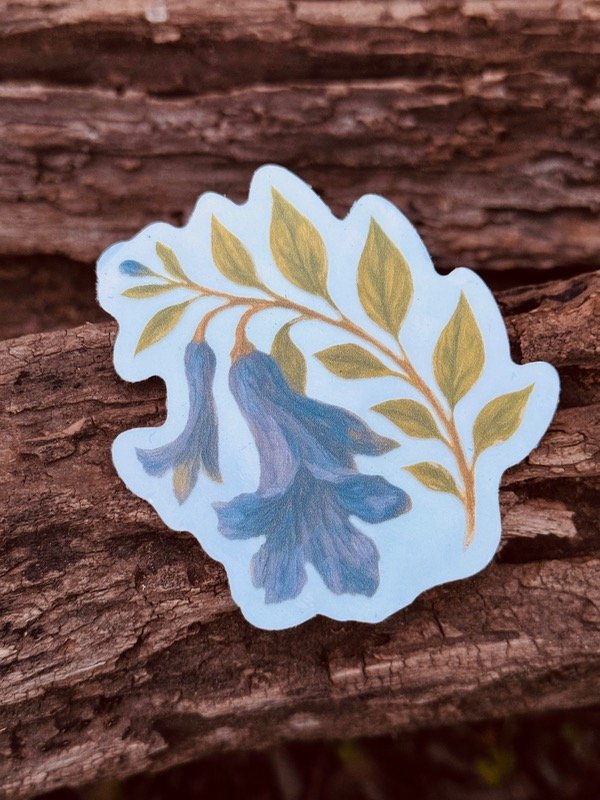 Producto - Jacaranda