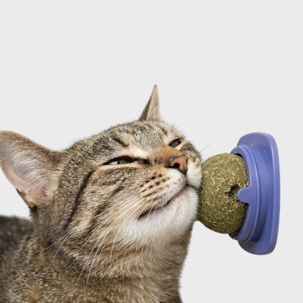 Producto - PELOTA CATNIP PARA GATO CON TAPA