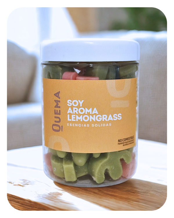 Producto - Love Cactus