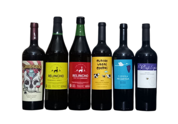 Producto - Promociones - BLEND 1