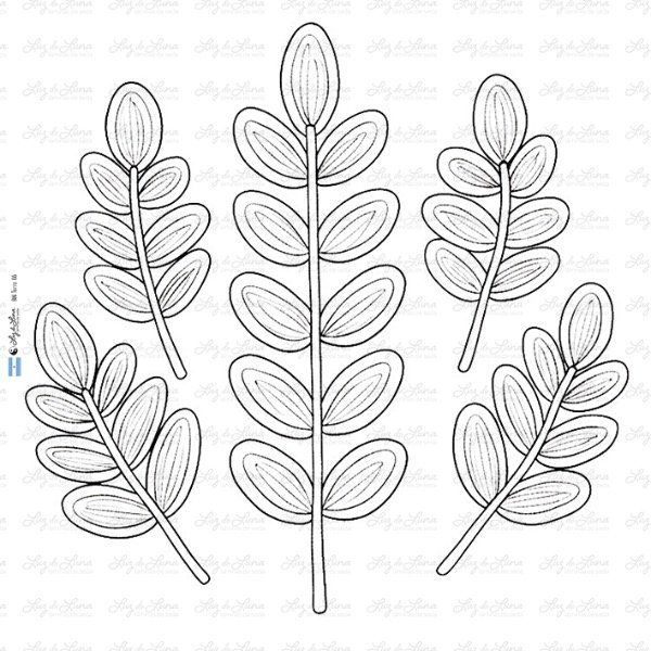 Producto - BM Terra 06