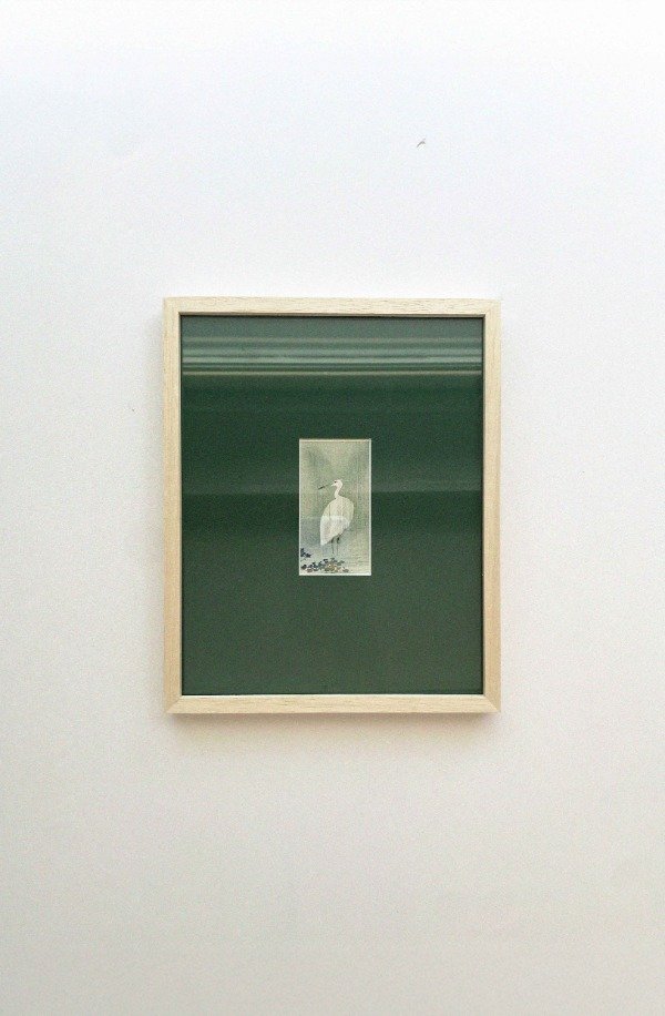 Producto - Egret in rain - verde