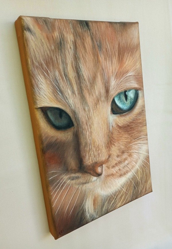 Producto - Felino - 1