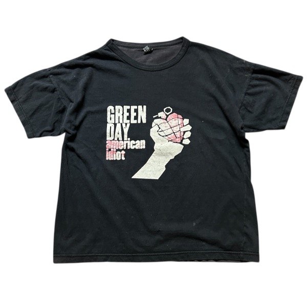Producto - 2010 Green Day American Idiot