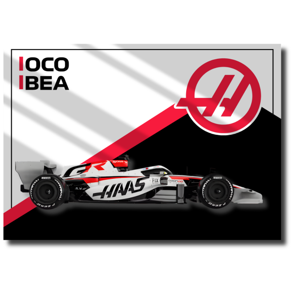 Producto - Póster Cartel de Chapa Haas F1 2026