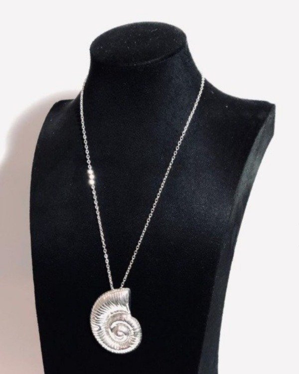 Producto - Collar Caro