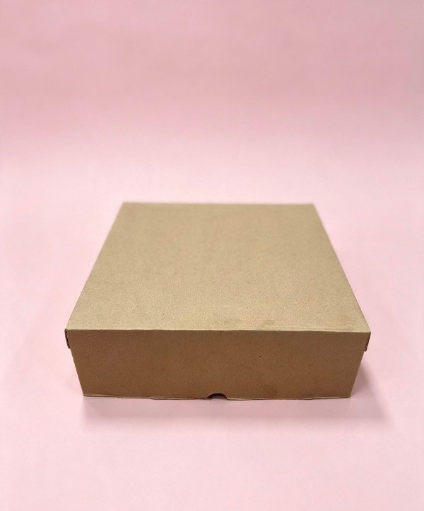 Producto - BOX MICRO T/BISAGRA -COD. 1178 30X10X30 - 1