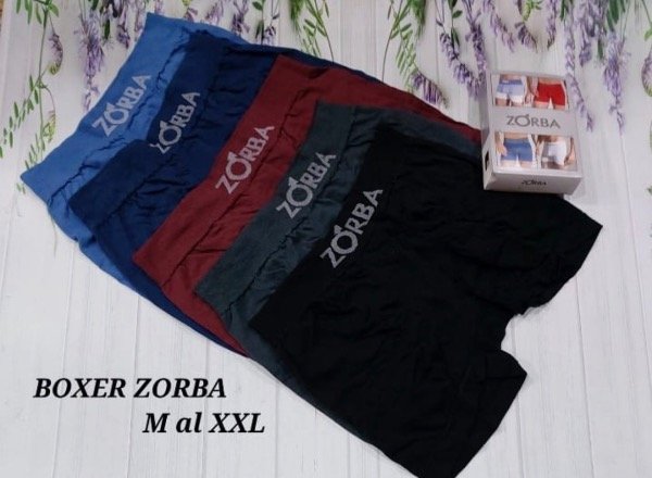 Producto - Boxer Zorba x12