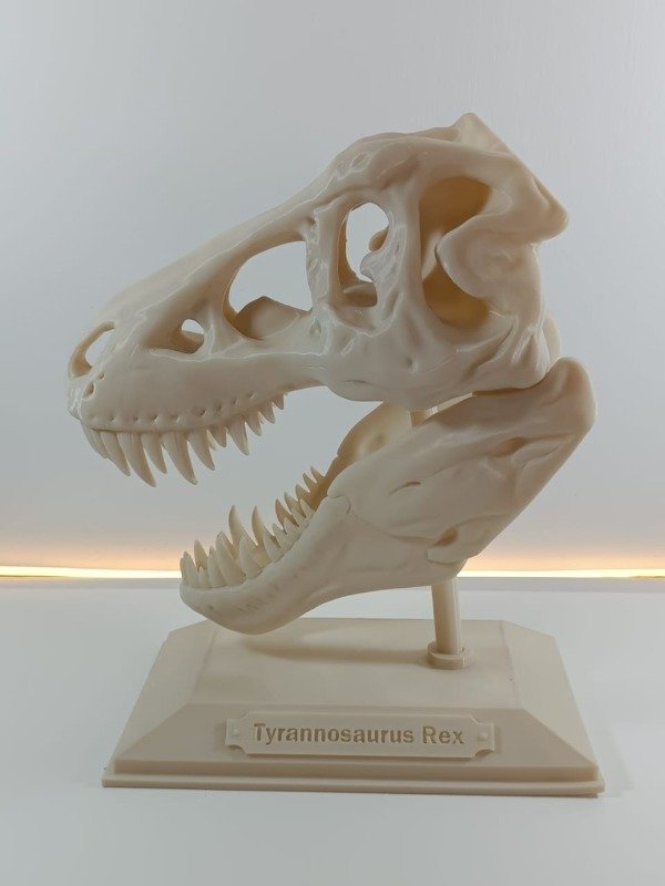 Producto - Cráneo de T-Rex - Tamaño Grande con base (color fósil)
