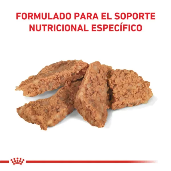 Producto - Lata Royal Canin Gastrointestinal Canine - Royal Canin 200 Gr - 1