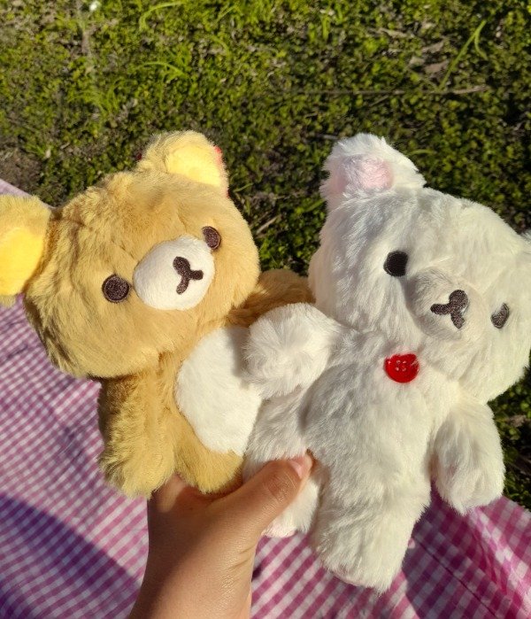 Producto - Peluches rila y kori 20cm premium - 0