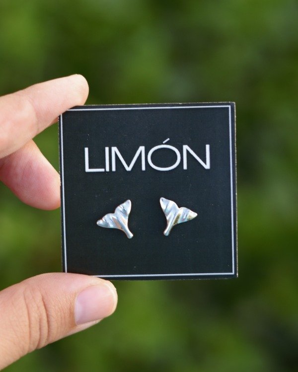 Producto - AROS WHALE