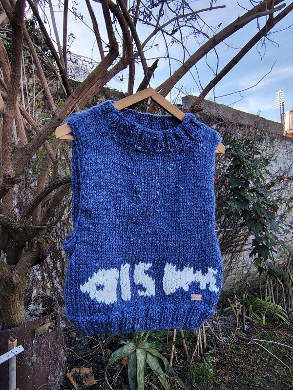 Producto - Chaleco FISH