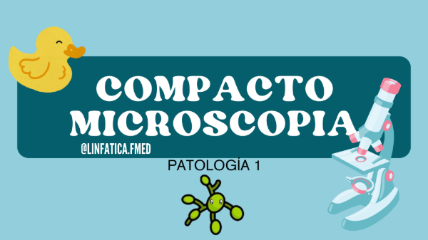 Producto - COMPACTO MICROSCOPIA PATO 1