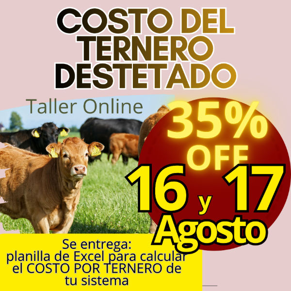 Producto - Taller Online: Costo del Ternero