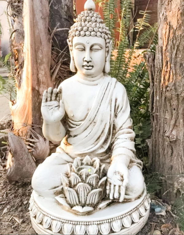Producto - Buda Esparta