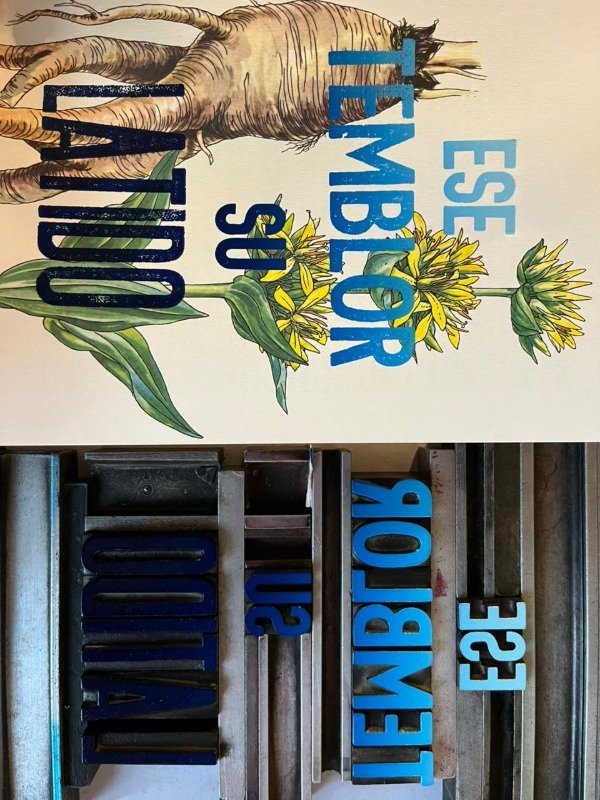 Producto - Estampas tipográficas botánicas