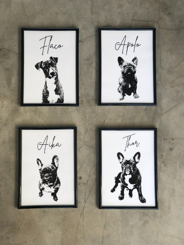 Producto - Cuadro Personalizado recuerdo - mi mascota